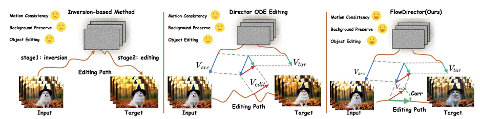 Comparison of inversion-based methods and FlowDirector